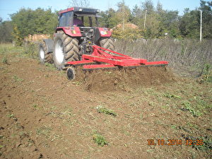 Picture_015
